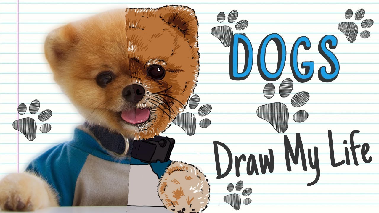 DOGS 🐶 | Draw My Life