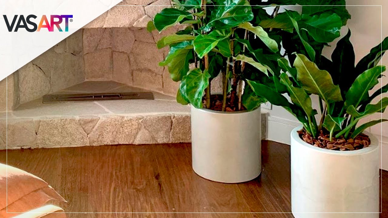 Como plantar em vaso
