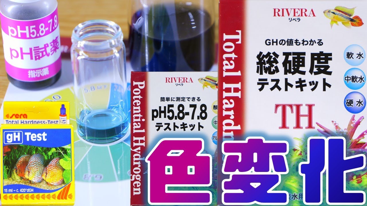 【試薬】俺はこれを待っていた！色の変化が分かりやすい細かく測れる国産品。セラ、テトラさようなら。デルフィス テストキットpH/TH【ふぶきテトラ】