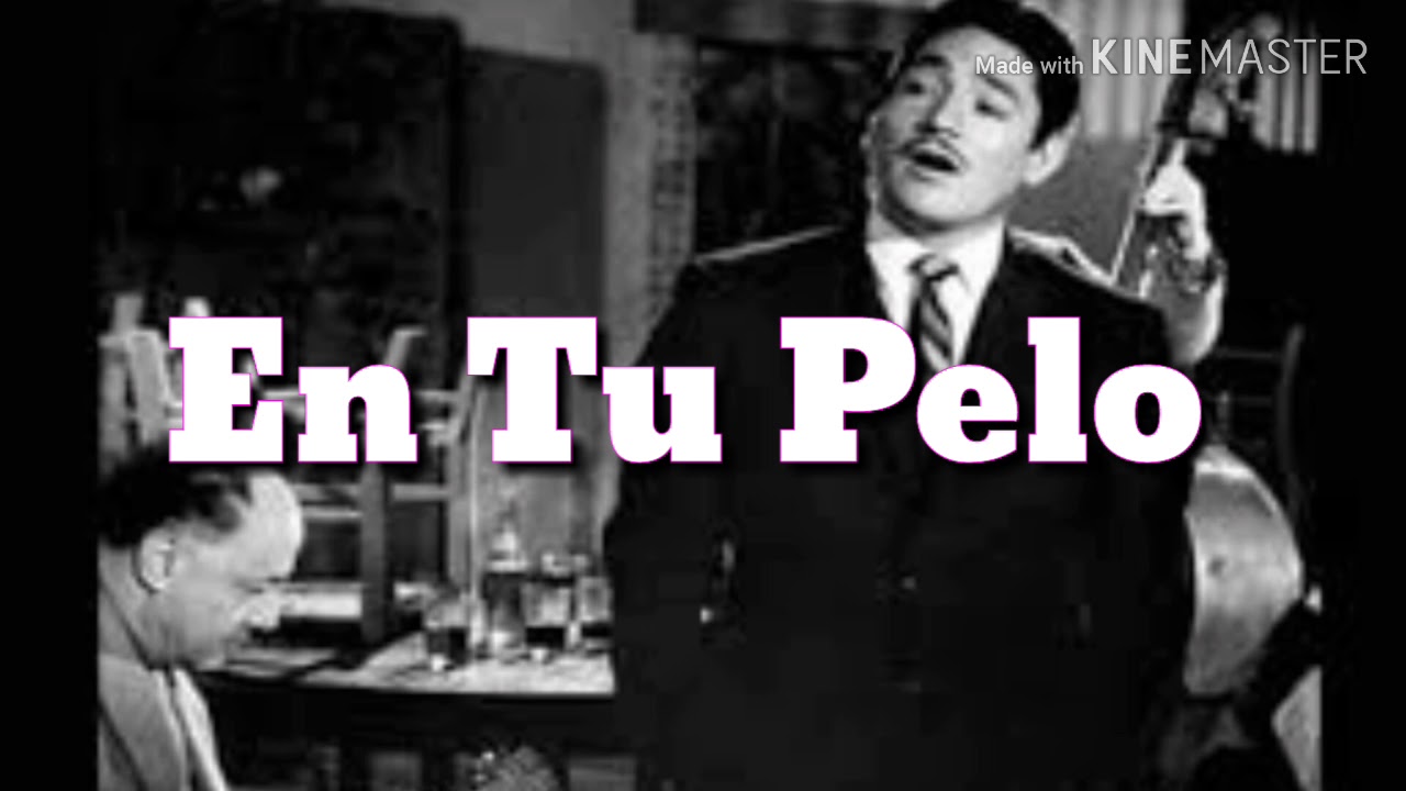 EN TU PELO (LETRA) - JAVIER SOLIS