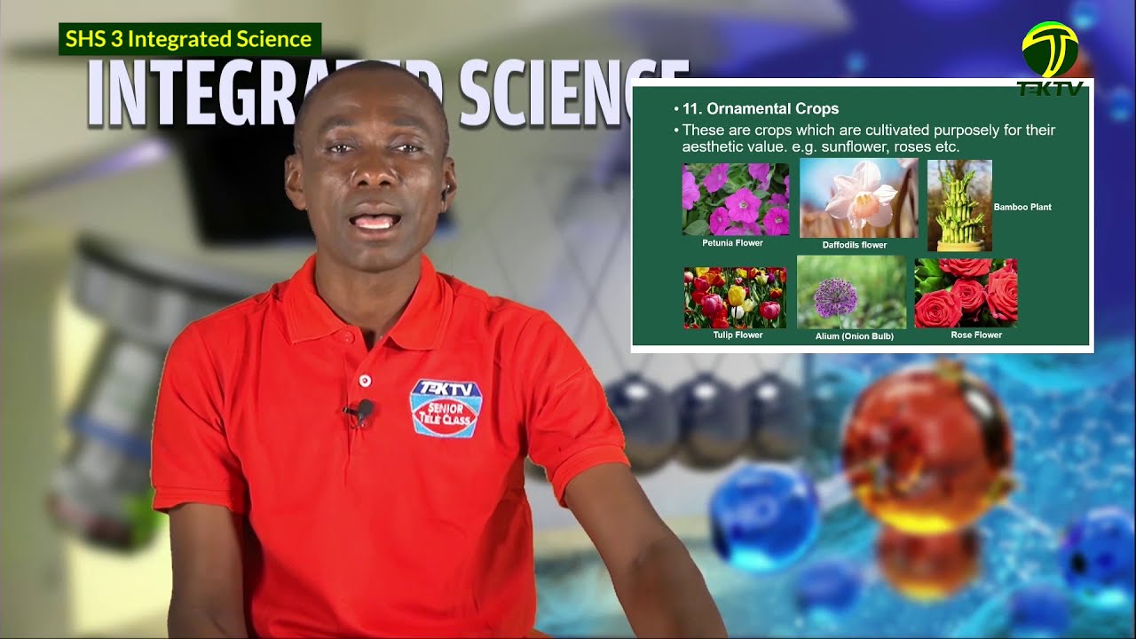 Integrated Science SHS 3 Lesson 1