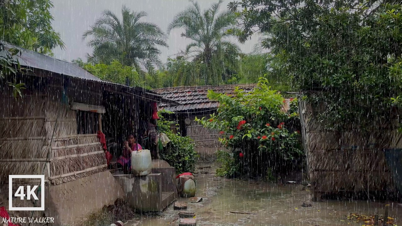 🌧️🌧️ Walking in the village Rain | Village Life in Monsoon | Rainy day
