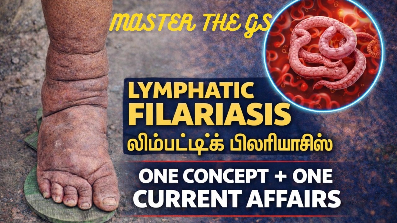 யானைக்கால் நோய் எப்படி வருகிறது? 🤯 | Lymphatic Filariasis Elimination Campaign!