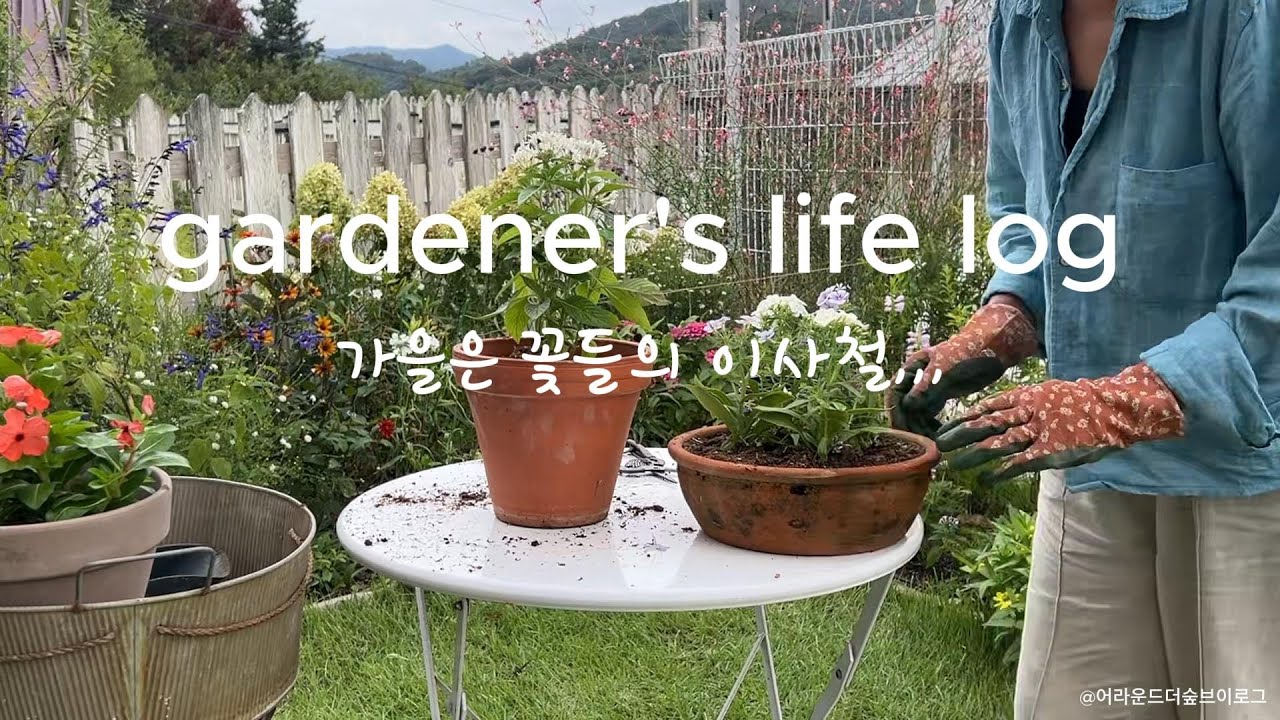 9월 가드닝은 꽃들의 이사철로 분주하게 시작하네요 /가을 정원을 준비하는 초보가드너