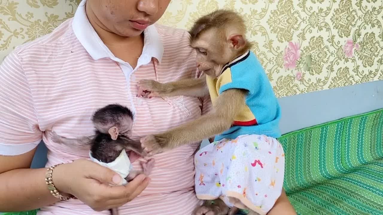 Energy DAM Very Strongly Jump And Drag Play With Mom So Naughty
