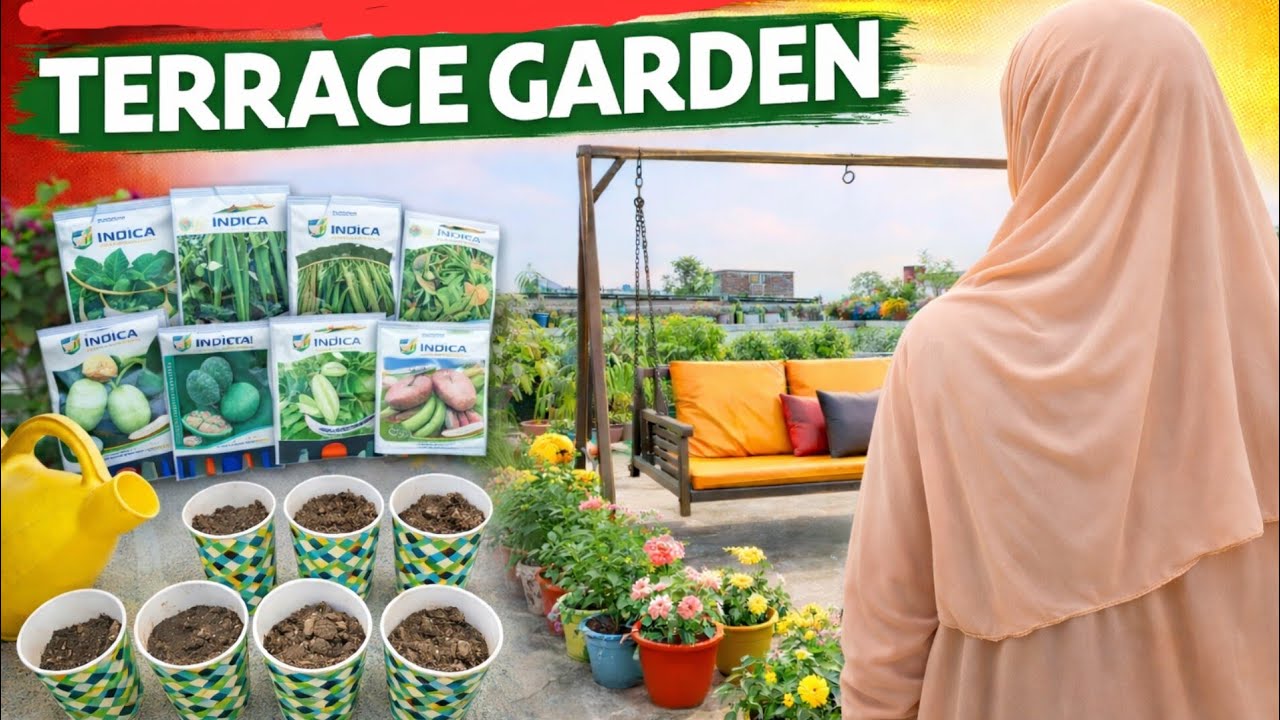 My Terrace Garden🏡 How To Grow Vegetables 🥦Terrace Garden Tour