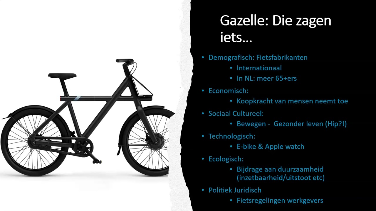 externe analyse
