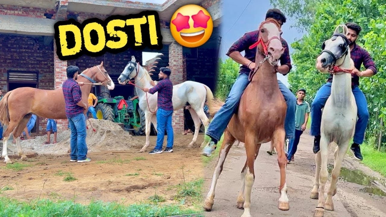 ❣️SHANK@R K! IS RED GH0DI SE GEHR!☺️ D0STI KRWA D! 😍 SHANK@R K! RIDE BHI KRL! 🔥