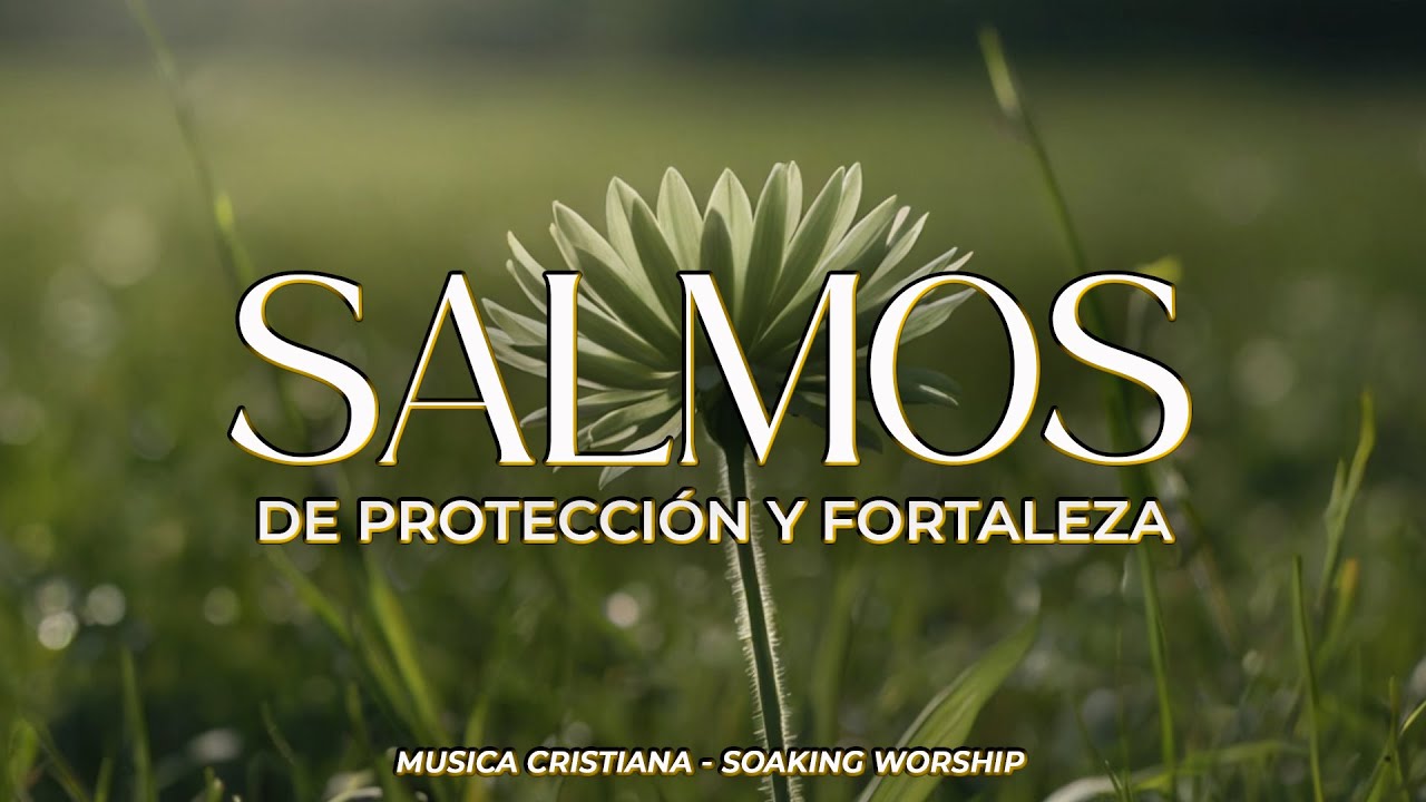 SALMOS CANTADOS 🤍 | Protección y Fortaleza en Dios | Él Te Sostiene en la Prueba 🕊️