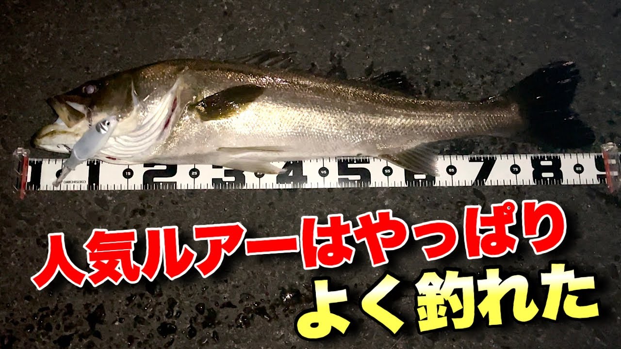 シーバスとバスで人気のブルージュ190がやっぱ凄かった