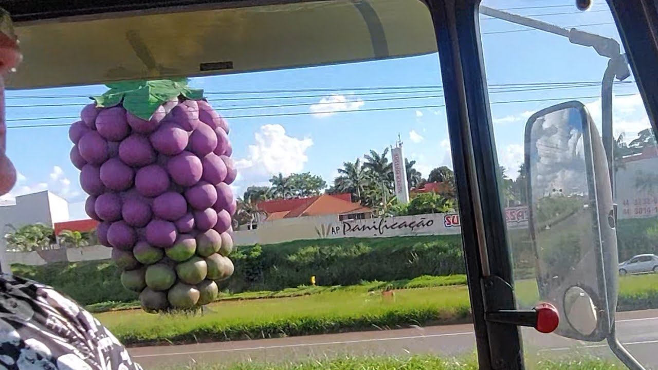 Marialva PR, capital da uva fina. Vídeo 05 - 06/03