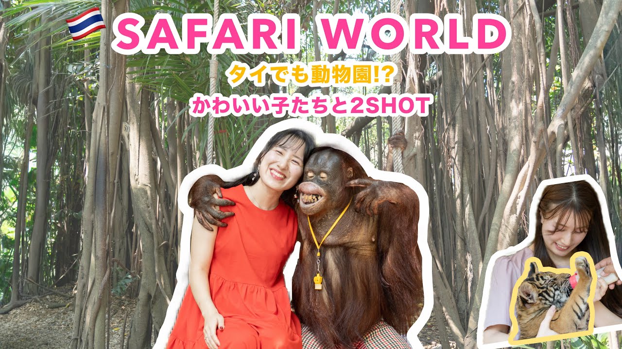 【サファリワールド】タイに来てまで動物園！？赤ちゃんトラ🐯と2SHOT📷［Bangkok vlog 4K］