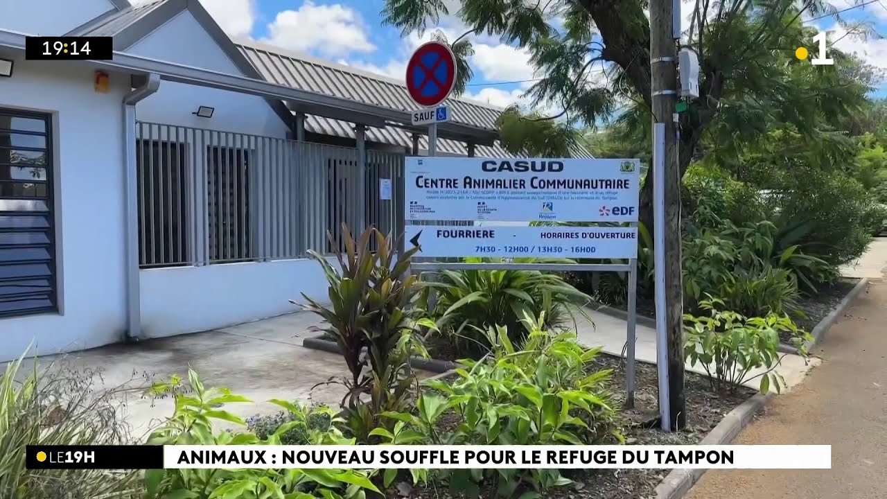 C'est désormais l'association Tilou qui gère le refuge du Tampon