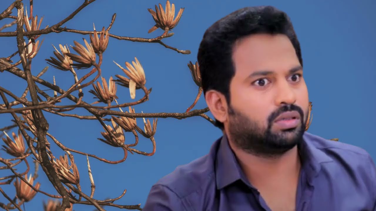 Pandian Store 2 Serial Upcoming Episode Review January 29th | 2026