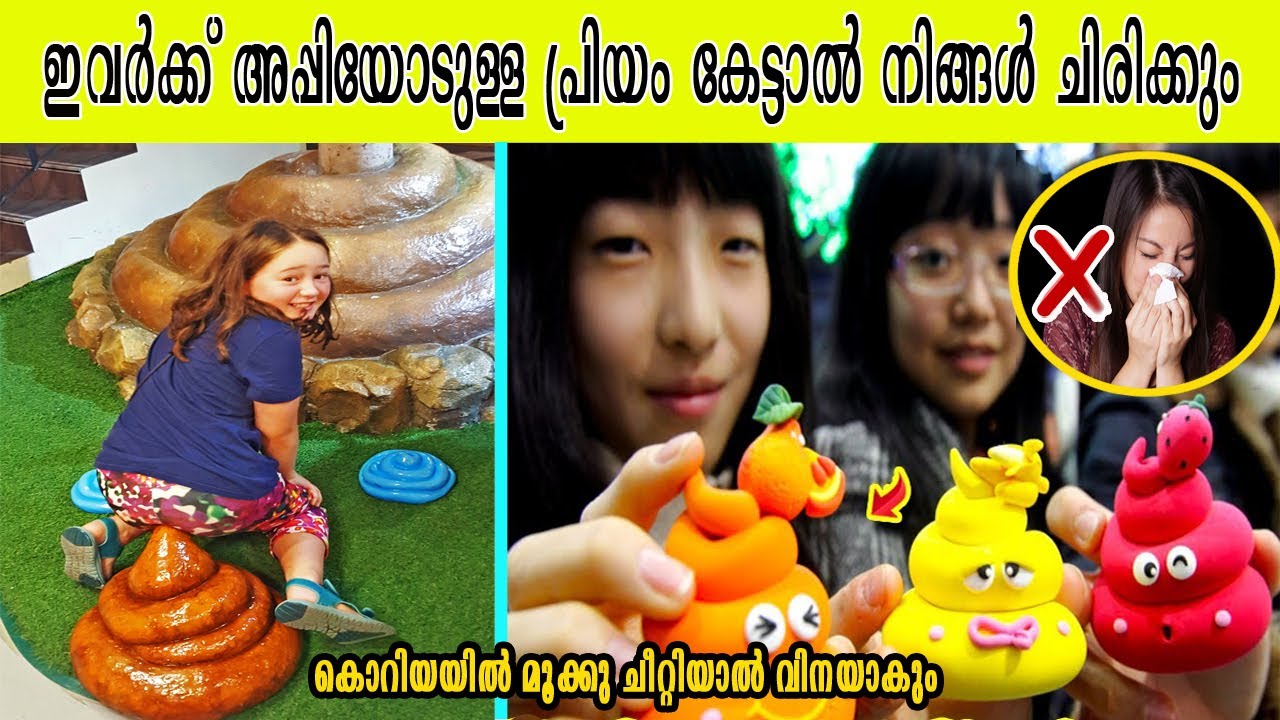 സൗത്ത് കൊറിയയുടെ മാത്രം പ്രത്യേകതയായ കൗതുക കാഴ്ചകൾ | Things You Will Only See in South Korea