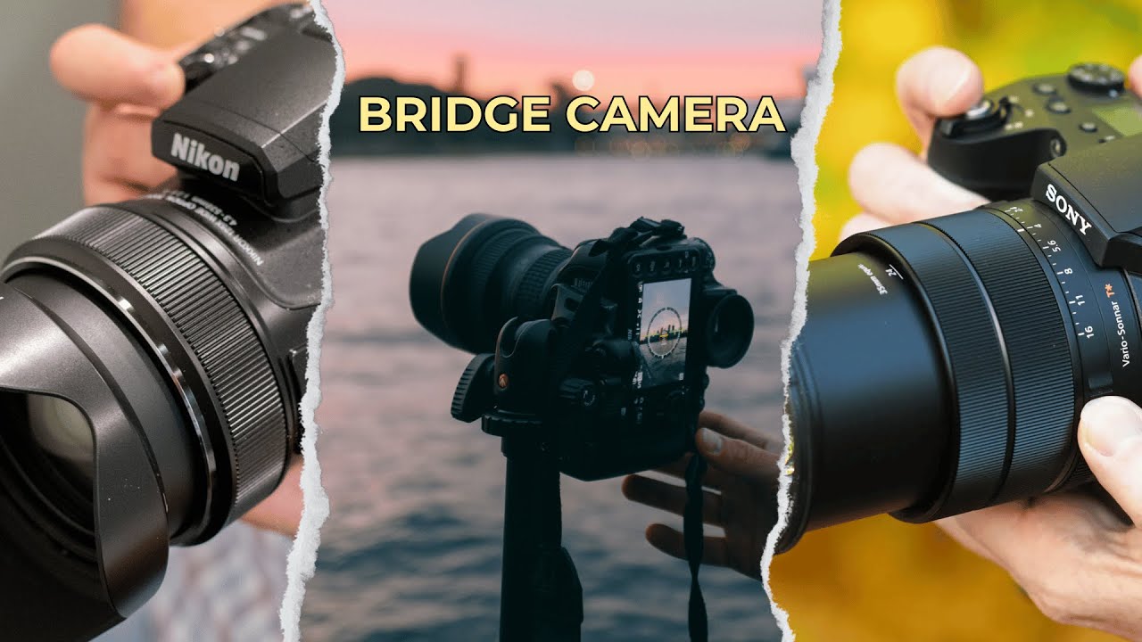 7 Best Bridge Cameras: 2025 Reviews [ Birding, Wildlife, Nature ]