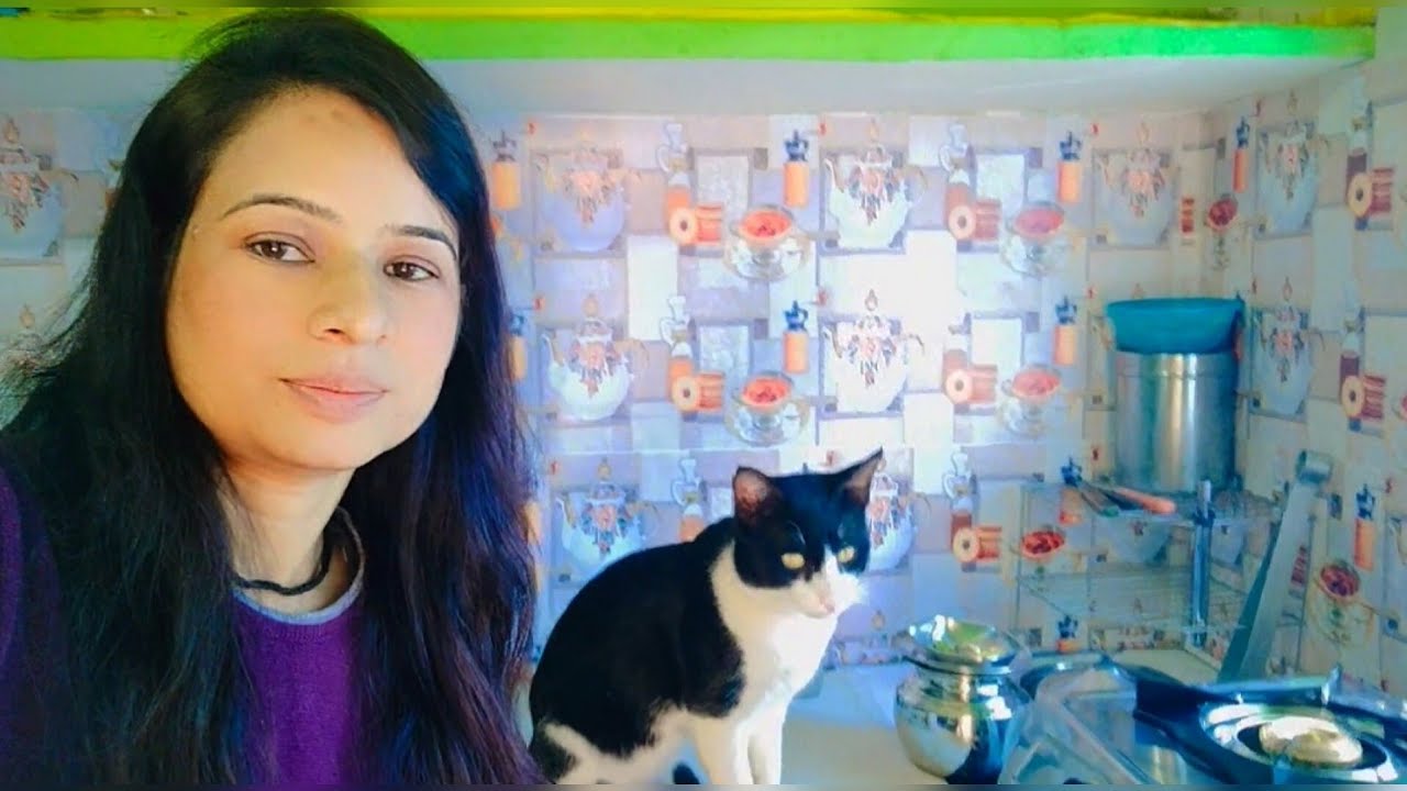 नमकिन कि दुकान खोल देते हैं 🤣🤣||@sarabisht3452