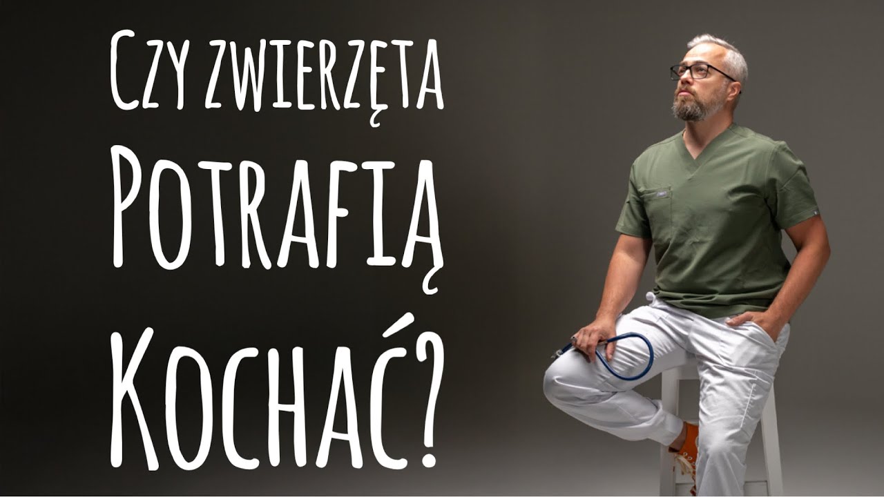 Czy zwierzęta potrafią kochać?