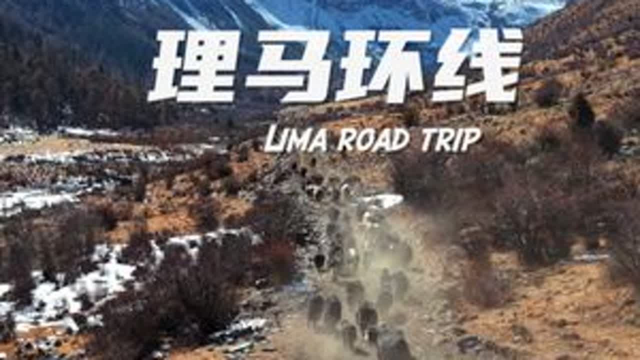 川西vlog｜一条川西的新晋小环线「理马环线」 #春节旅行好去处#川西自驾#放天性去野行#2025中国野行纵横路线#ReadySetFord