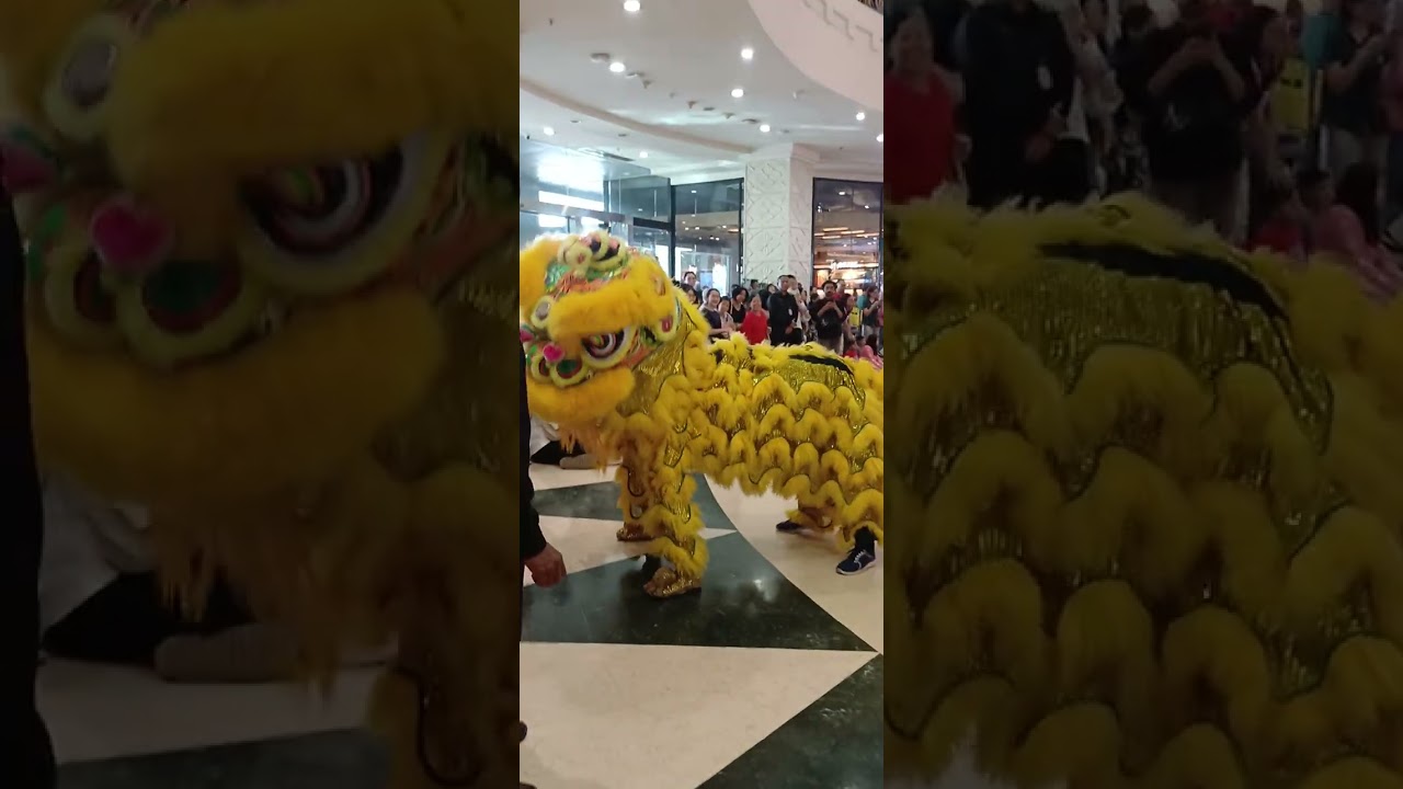 Nonton Barongsai Tonggak di Mall Artha Gading bareng Kakak Adek seruuu guyysss 🎊