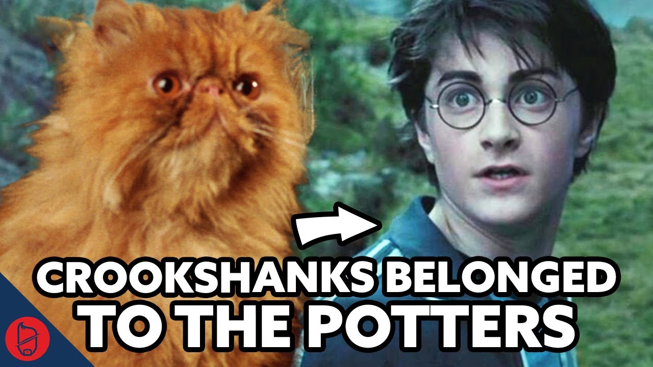Harry Potter Theory: Who Was Crookshanks Original Owner?