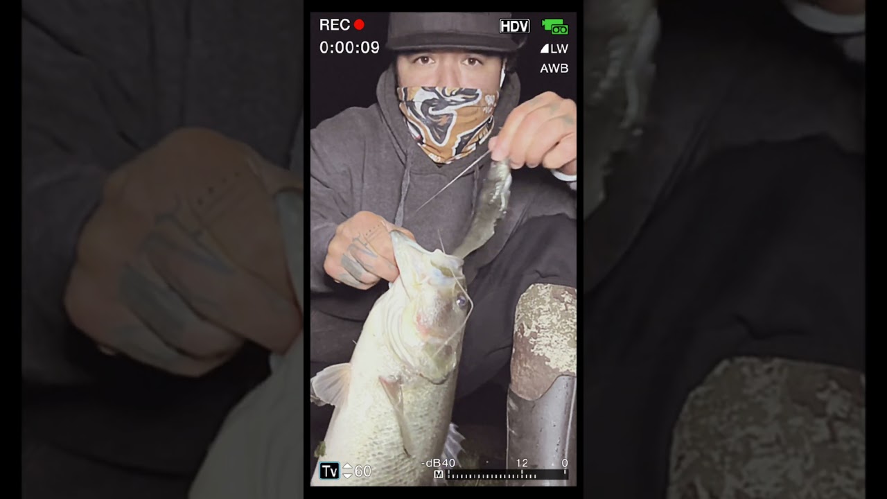 Winter fishing been interesting 🥶 