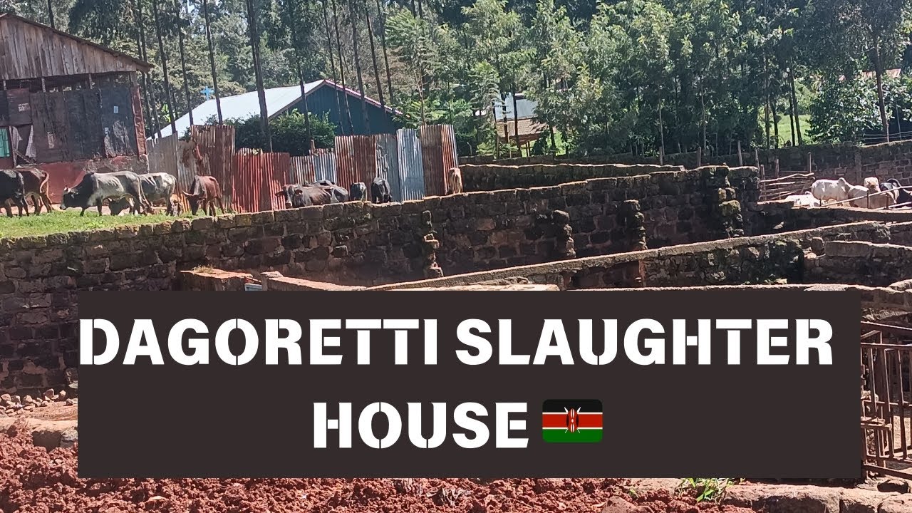 DAGORETTI SLAUGHTER HOUSE TOUR 🇰🇪