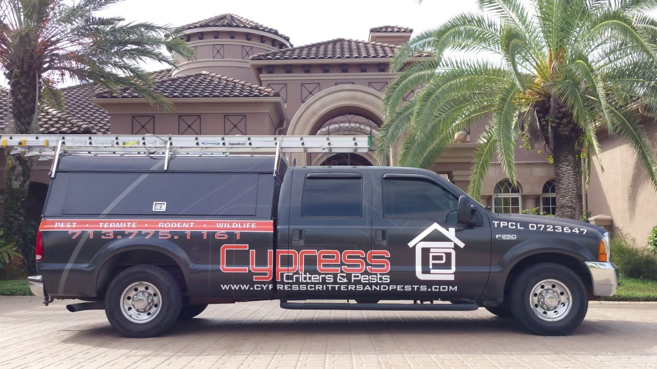 Pest Control Animal Trapping Termite Ant and Bedbug Exterminator Houston Tx