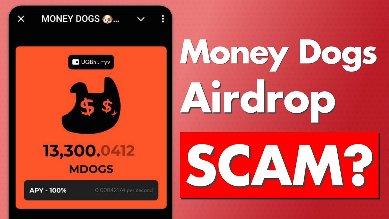 Money Dogs Airdrop Review - Really Worth or Not?