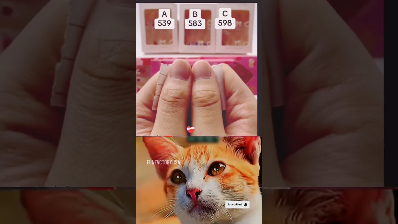 Find the Bunny Among Cats in 10s! 🐰 #FunFactoryUSA #ViralIllusion #SpotItFast #usashorts #viral