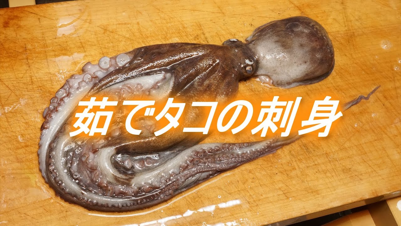 タコの茹で方と刺身の切り方