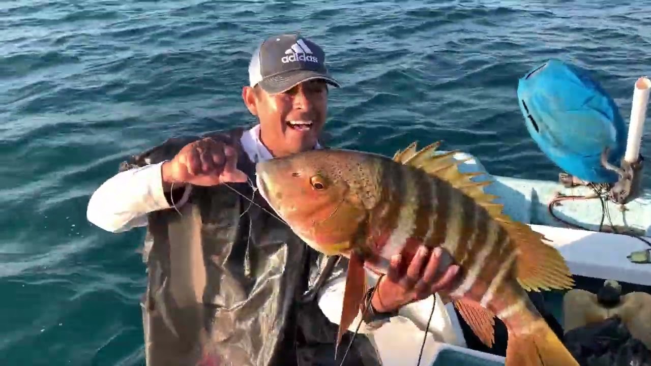 Asi es como tiramos la simbra en la arenera y esto fue lo que salio, PARGOS RAYSEROS.