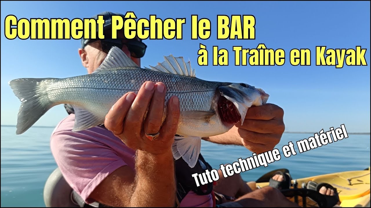 Comment p&ecirc;cher le Bar &agrave; la Tra&icirc;ne en Kayak