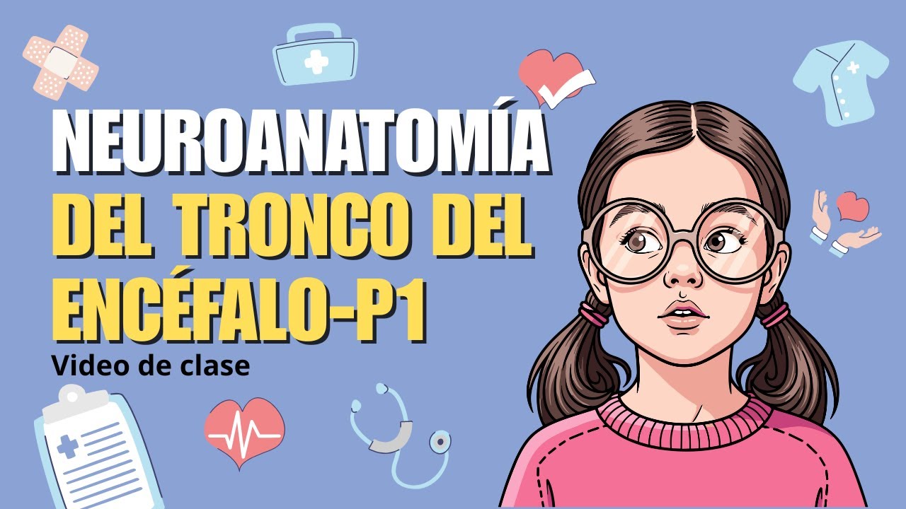 Neuroanatomía del tronco encefálico | Parte 1 | Clase de medicina 🩺🧠