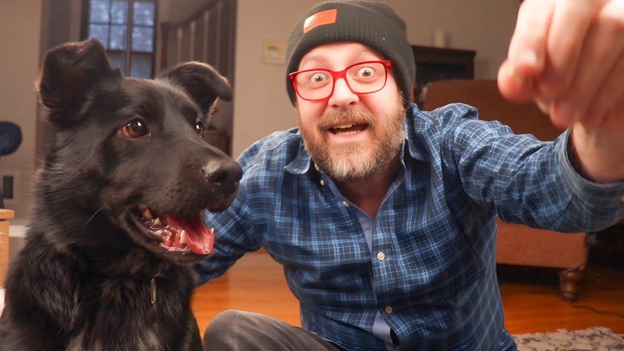 I Lived with a Dog For 2 Years. Here's What Happened.