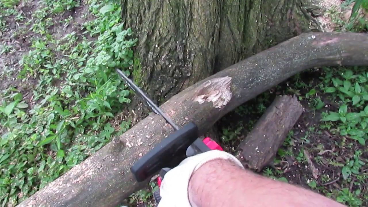 Hyper Tough 40 volt Chainsaw from Walmart test review #chainsaw #cordless #walmarthaul #tools #trees