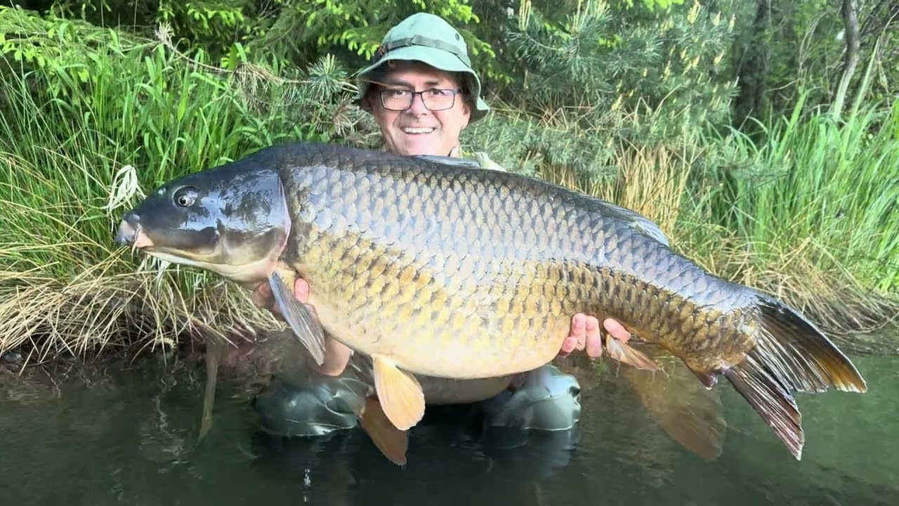 Jezero Jaroslav 2025