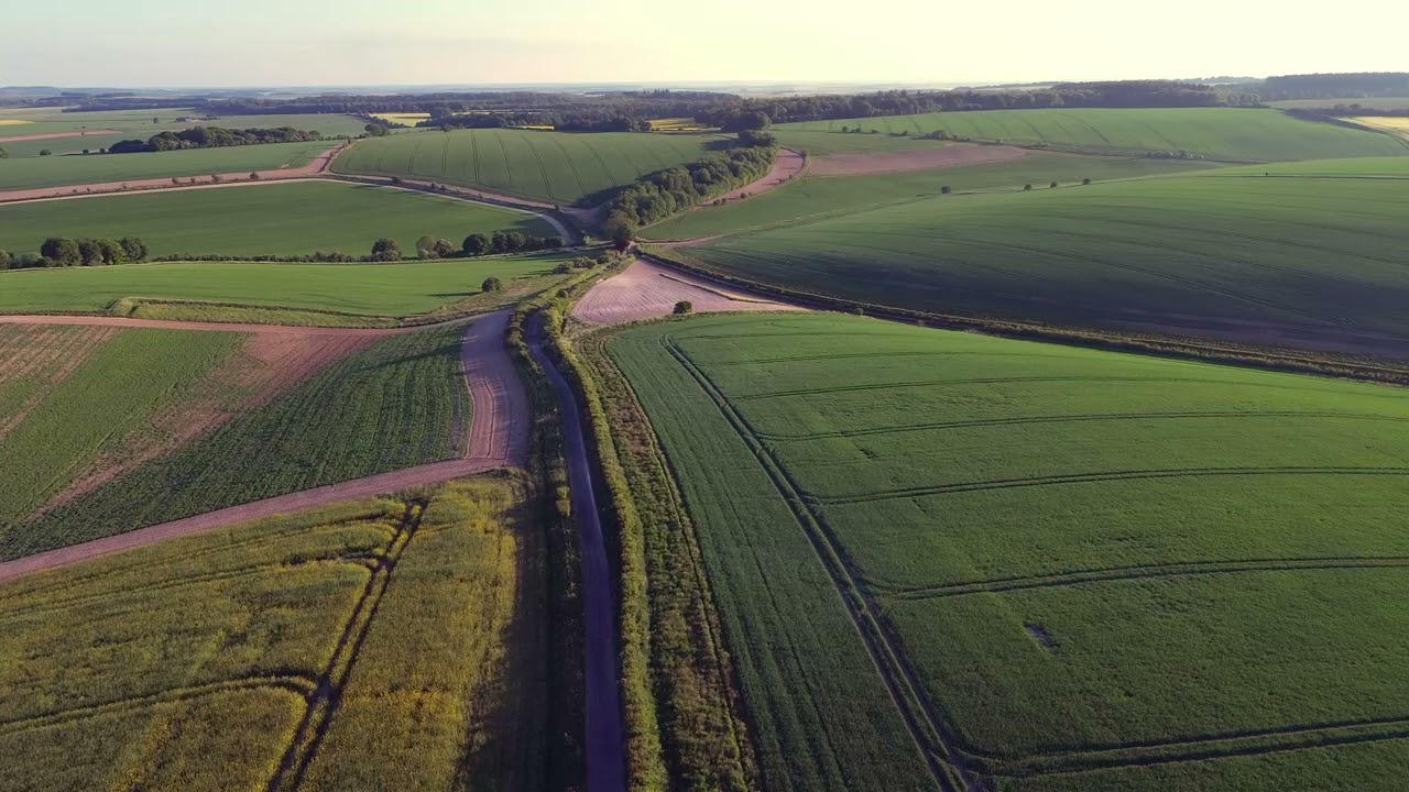 A view from Crow Down towards Sidbury Hill, and then 360 degrees of countryside...