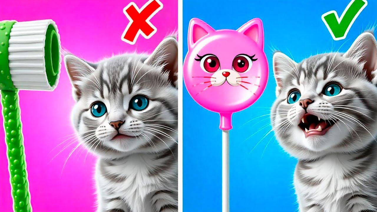 We Tested This Meow Gadgets for Cats—Watch the Results! By Resting Purr Face