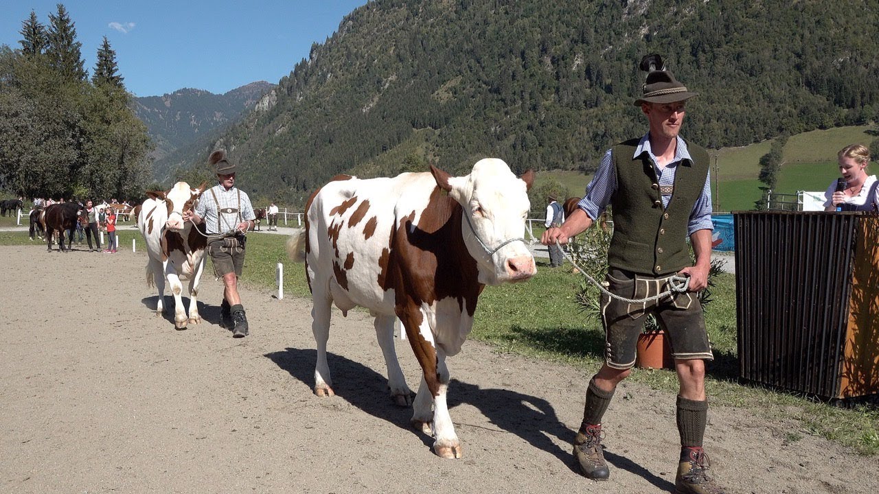 Tierpräsentation Gasteinertal 2018