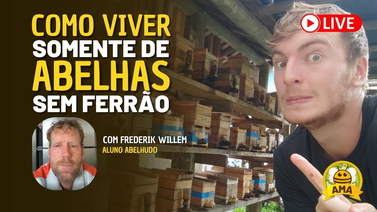 Ele largou 90 vacas e hoje vive só de abelhas sem ferrão!