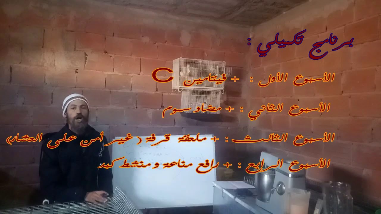 محتوى الحلقة :البرنامج الوقائي في تربية الأرانب – الجزء الثاني يتبع