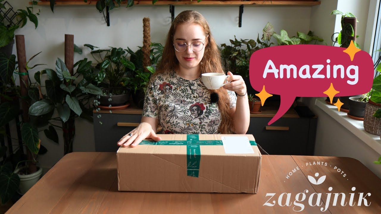 Zam&oacute;wienie z Zagajnik.com - 3 nowe SZAŁOWE rośliny!