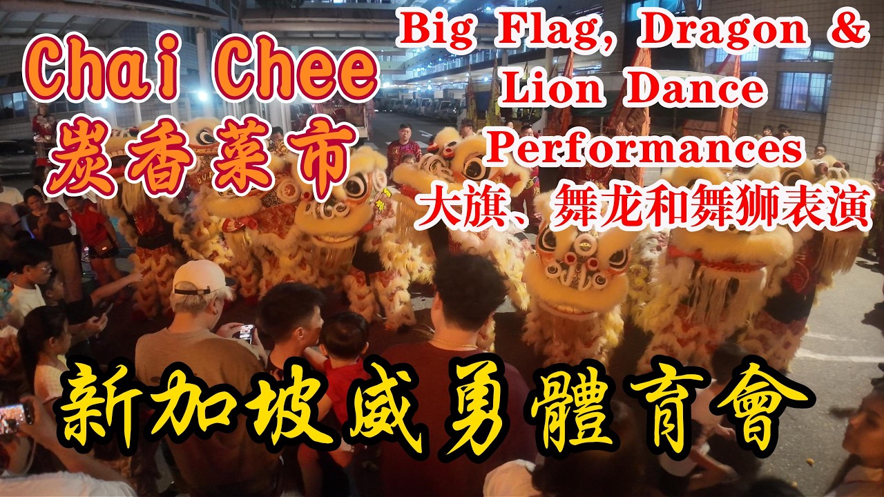 CNY Lion dance , Dragon dance & Big Flag Performance By Singapore Wei Yong 2月22日