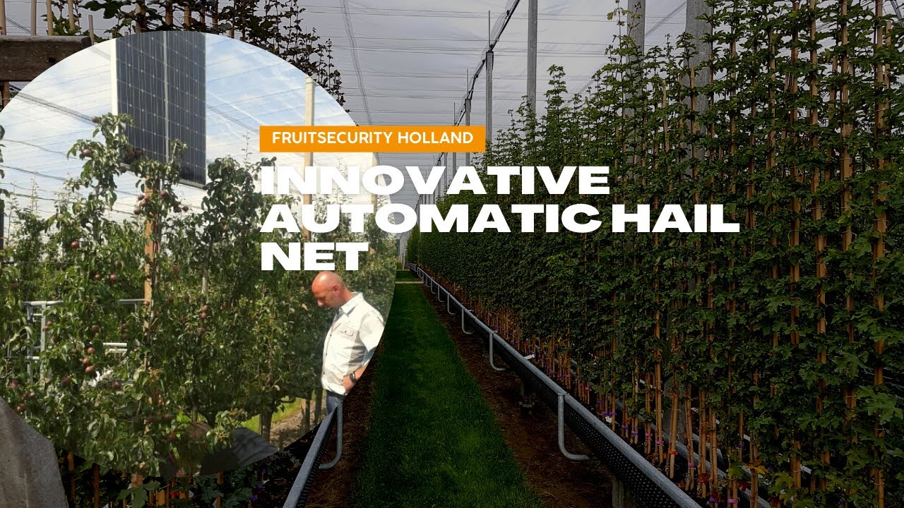 Fruit Nursery Protection Automatic Hail Net System- FRUITSECURITY HOLLAND