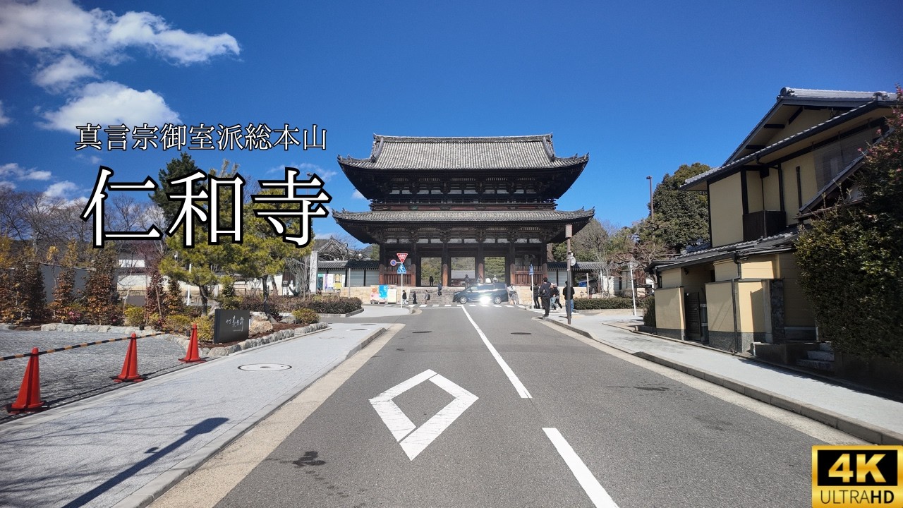 【4K 京都Vlog】京都・仁和寺｜世界遺産の静かな時間｜
