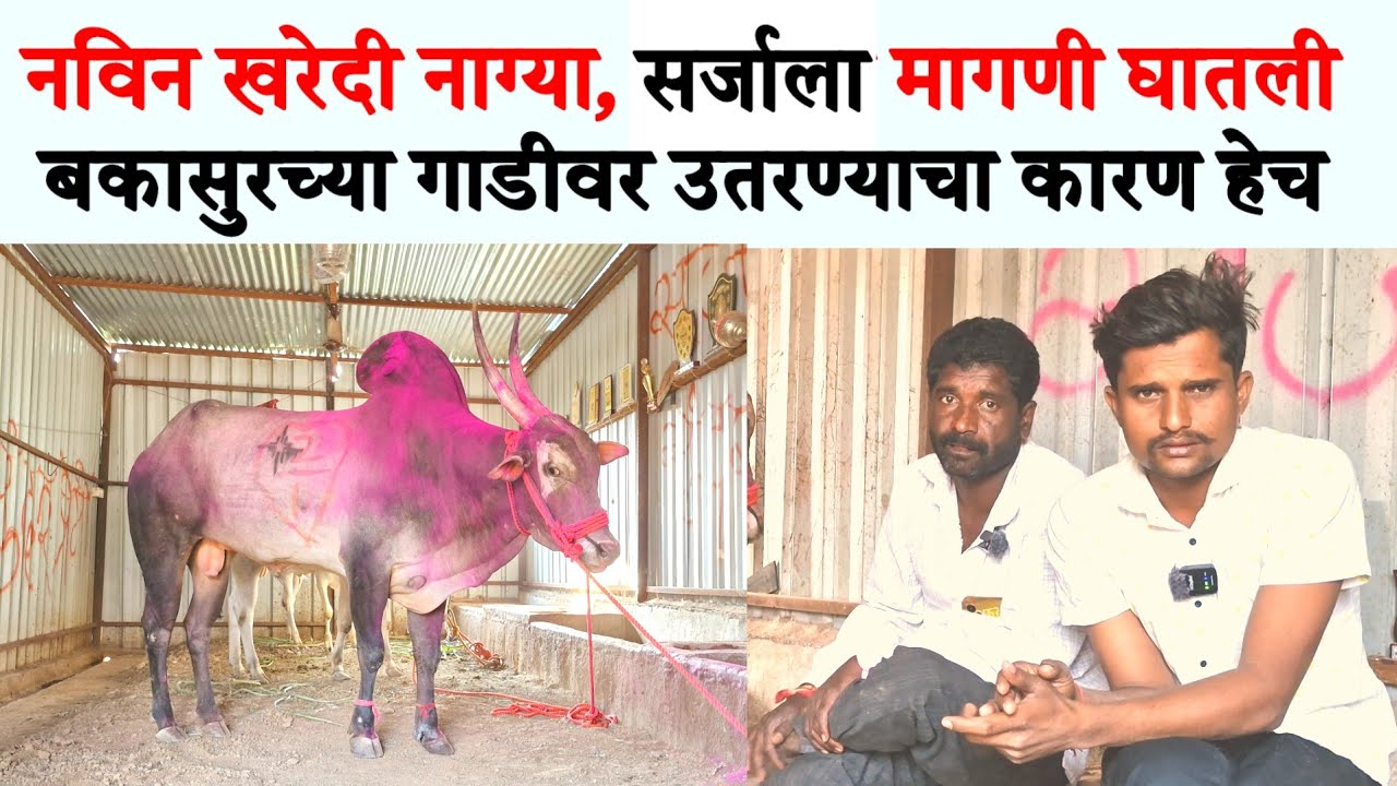विठ्ठल नानांची नवीन खरेदी.. नाग्या