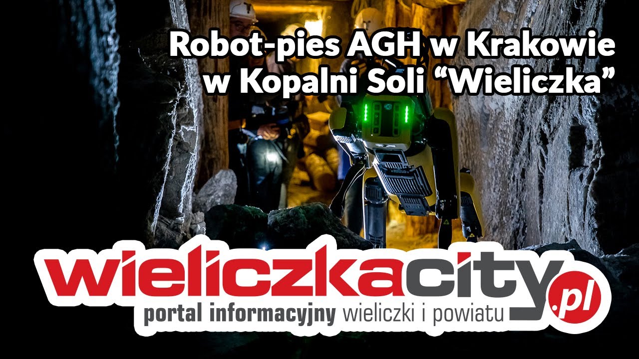 Robot-pies AGH w Krakowie w Kopalni Soli „Wieliczka”