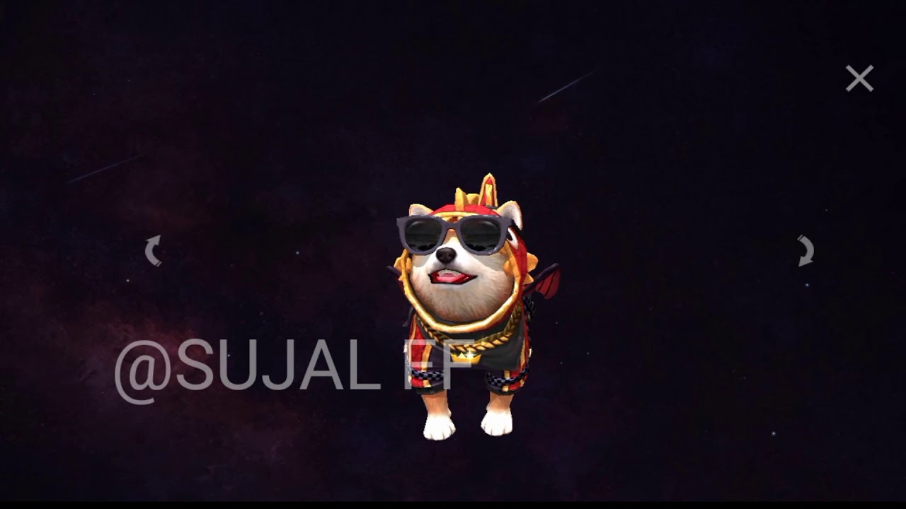 free fire New pet skin//  SUJAL.FF//SUJAL FF // @SUJALFF #SUJALFF // SUJAL FF official