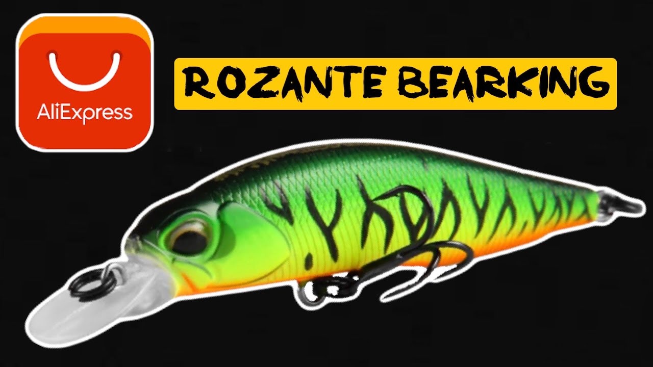 Isca Rozante do AliExpress Marca Bearking- Pescaria